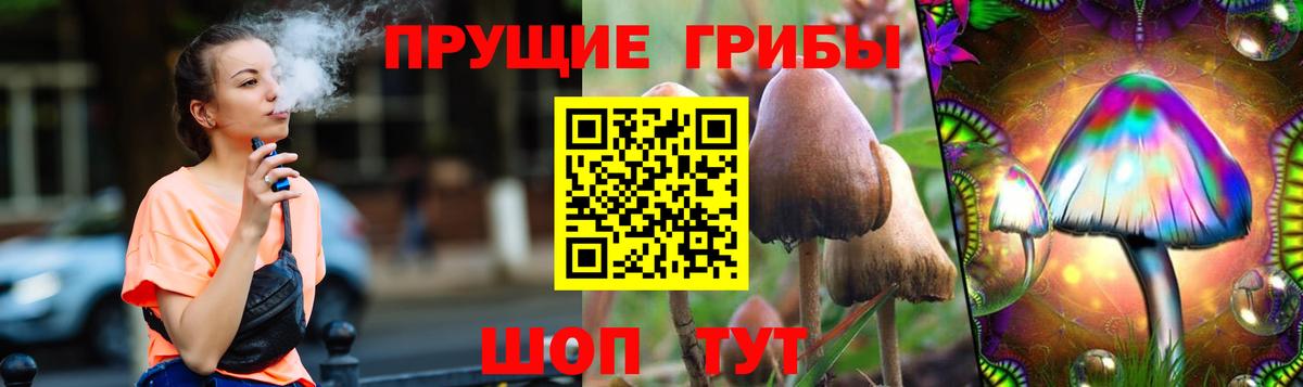 Верхняя Салда  Галлюциногенные грибы прущие грибы  Вход с VPN 